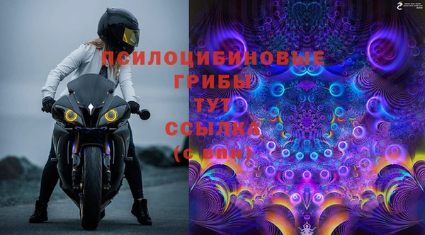 твердый Алзамай